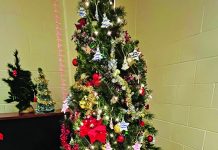Le Centre communautaire de Sarnia soutient sept familles pour Noël