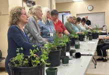 Andréanne Longpré initie les aînés aux secrets des plantes aromatiques